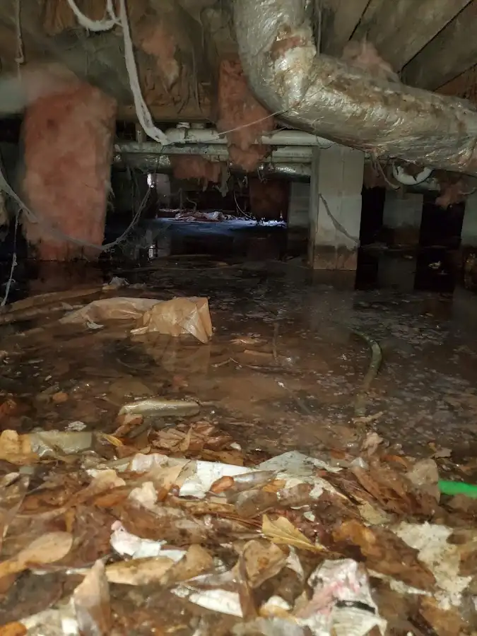 Crawl space flood assessment for Leak Detection & Repair in Graham